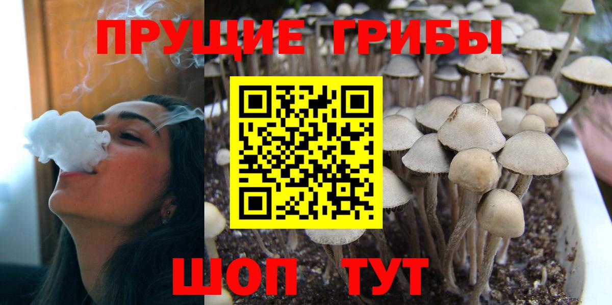Псилоцибиновые грибы мухоморы  Галлюциногенные грибы Magic Shrooms  наркота  Бирск  Вход с VPN 